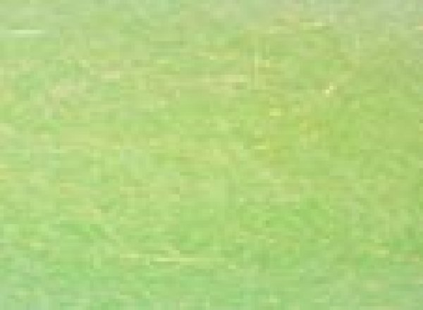 画像7: Fishent フライマテリアル / Steve Farrar SF Blend (7)